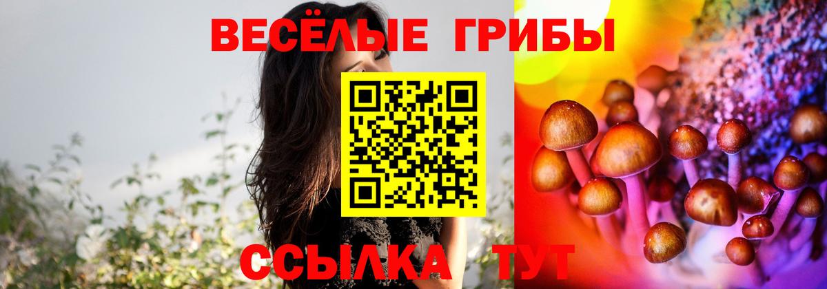 Псилоцибиновые грибы Magic Shrooms  Вход с VPN  Галлюциногенные грибы Magic Shrooms  Узловая 